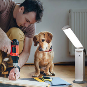 Lampe portable rechargeable Daylight Twist 2 Go pour malvoyant - LED lumière du jour 6000K et abat-jour pivotant